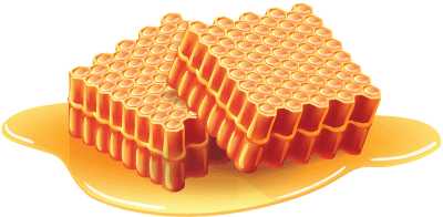 Homogeneous-Hive-Honeycomb