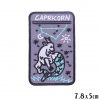 Constellation Astrology Zodiac Sign Square Embroidered Patches - Capricorn