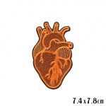 Realistic Orange Heart Blood Pump Organ