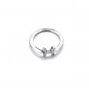 Silver Bohemian Zodiac Astrology Ring - Pisces