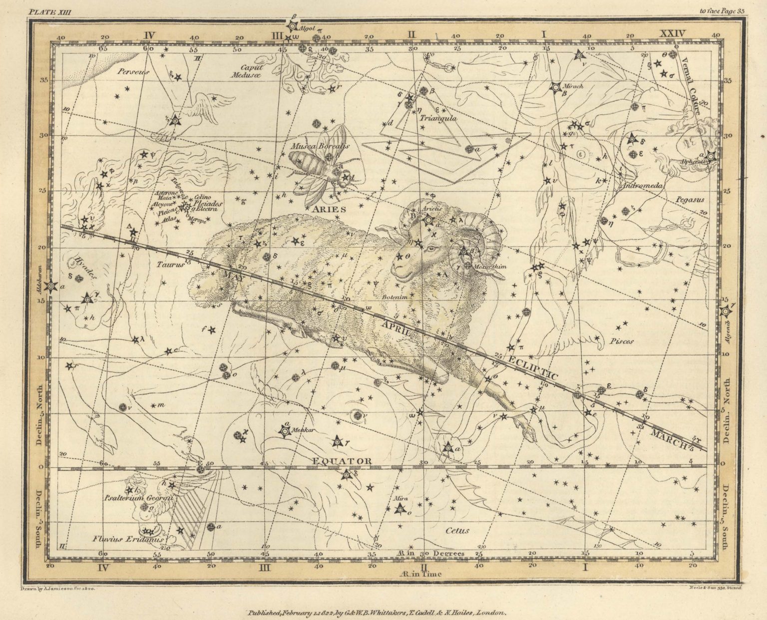 Plate-13-Aries, Musca Borealis