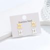 Astrology Zodiac Constellation Signs Stainless Steel Earring Studs Silver Gold Jewelry