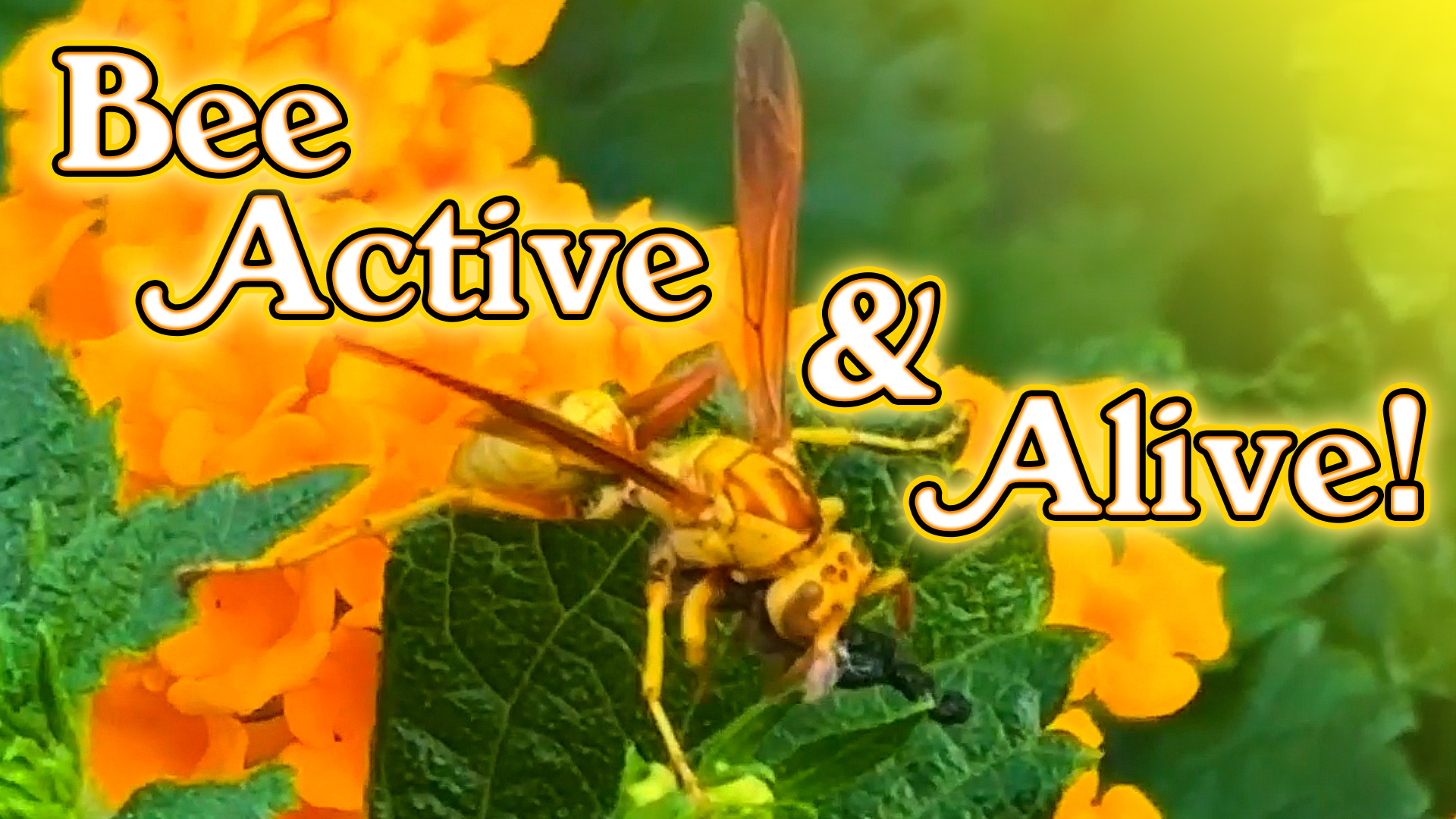 Bee Active & Alive, Flower your Mind & Bloom with Your Truth! - Astral ...