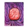 The Holy Himalayan - Canvas Art Print - 8