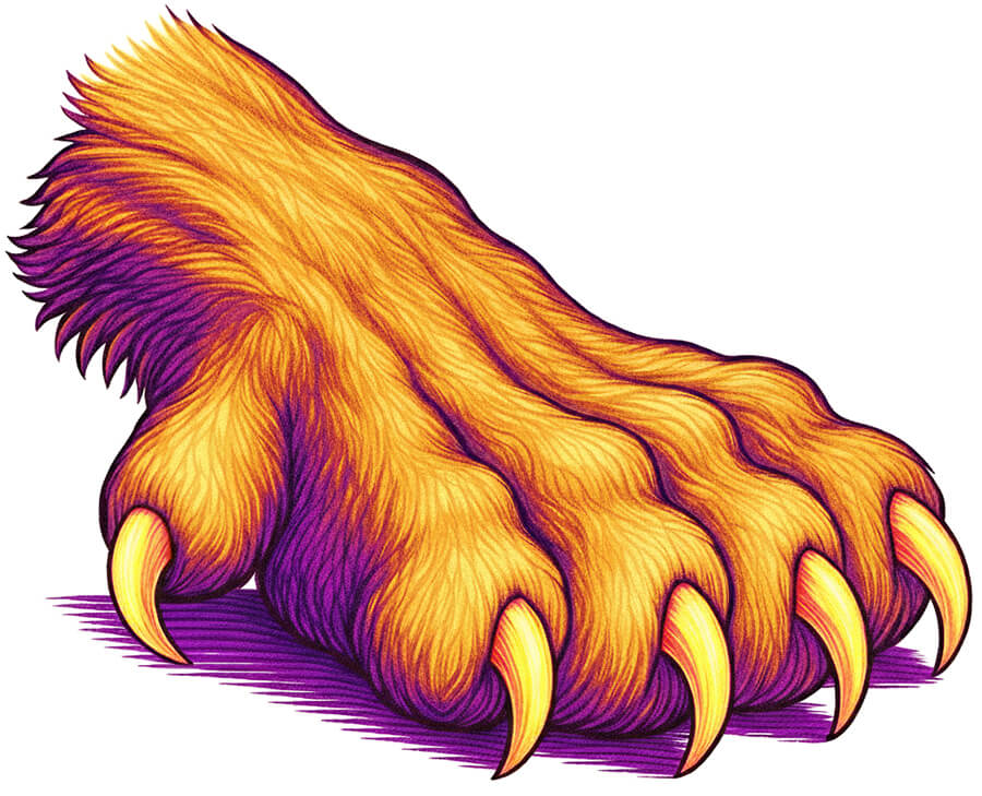 Astrology-Zodiac-Sign-Spirit-Color-5-Leo-Graphic-Image-Illustrated-Art-Artwork