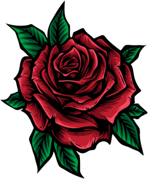 Roseate-Rosey-Rose-Flower